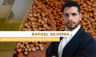 Rafael Silveira - Analista de Soja na Safras & Mercado
