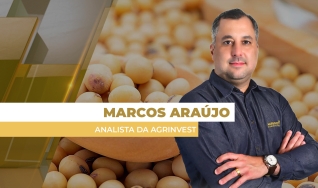 Marcos Araújo - Analista da Agrinvest