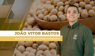 João Vitor Bastos - Analista de Mercado da Pátria Agronegócio