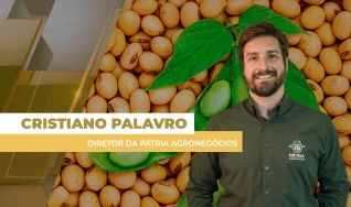 Cristiano Palavro - Diretor da Pátria Agronegócios