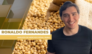 Ronaldo Fernandes - Analista de Mercado Royal Rural