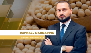 Raphael Mandarino - Diretor da AgResource Brasil