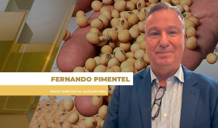 Fernando Pimentel - Sócio Diretor da Agrometrika