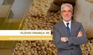 Flávio França Jr. - Chefe do Setor de Grãos da Datagro Consultoria
