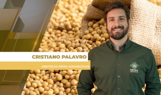 Cristiano Palavro - Diretor da Pátria Agronegócios