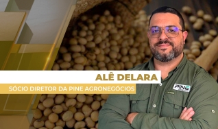 Alê Delara - Sócio Diretor da Pine Agronegócios