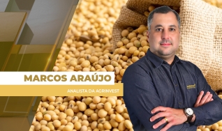 Marcos Araújo - Analista da Agrinvest
