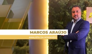 Marcos Araújo - Analista da Agrinvest