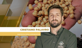 Cristiano Palavro - Diretor da Pátria Agronegócios