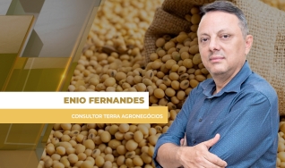 Enio Fernandes - Consultor Terra Agronegócios