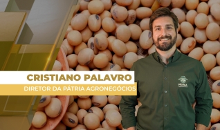 Cristiano Palavro - Diretor da Pátria Agronegócios