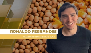 Ronaldo Fernandes - Analista de Mercado Royal Rural