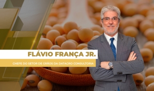 Flávio França Jr. - Chefe do Setor de Grãos da Datagro Consultoria