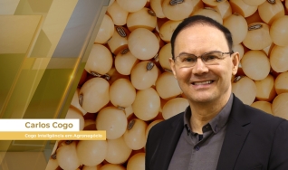 Carlos Cogo - Cogo Inteligência em Agronegócio