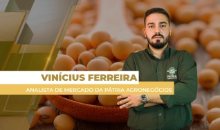 Vinícius Ferreira - Analista de Mercado da Pátria Agronegócios