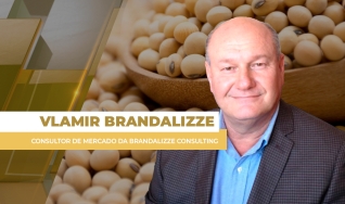 Vlamir Brandalizze - Consultor de Mercado da Brandalizze Consulting
