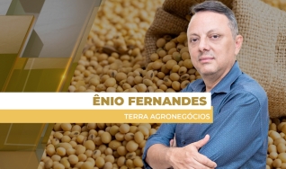 Ênio Fernandes - Consultor em Agronegócio da Terra Agronegócios