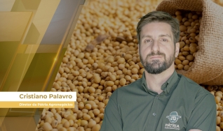 Cristiano Palavro - Diretor da Pátria Agronegócios