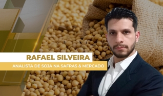 Rafael Silveira - Analista de Soja na Safras & Mercado