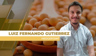 Luiz Fernando Gutierrez - Coordenador de Inteligência de Mercado na Hedgepoint