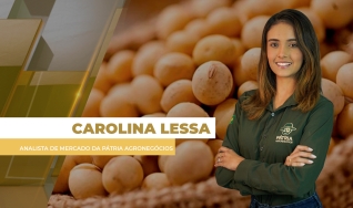 Carolina Lessa - Analista de Mercado da Pátria Agronegócios