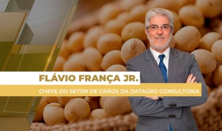 Flávio França Jr. - Chefe do Setor de Grãos da Datagro Consultoria