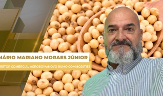 Mário Mariano Moraes Júnior - Diretor Comercial Agrosoya/Novo Rumo Commodities