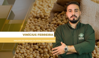 Vinícius Ferreira - Analista de Mercado da Pátria Agronegócios