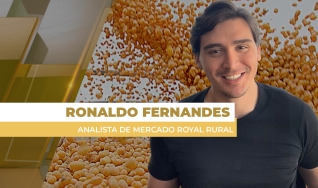 Ronaldo Fernandes - Analista de Mercado Royal Rural