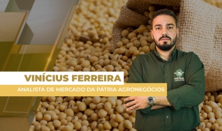 Vinícius Ferreira - Analista de Mercado da Pátria Agronegócios