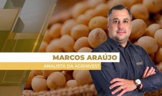 Marcos Araújo - Analista da Agrinvest