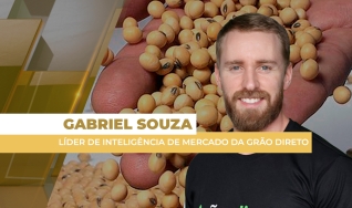 Gabriel Souza - Líder de Inteligência de Mercado da Grão Direto