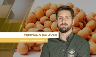 Cristiano Palavro - Diretor da Pátria Agronegócios
