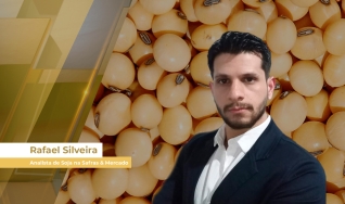 Rafael Silveira - Analista de Soja na Safras & Mercado