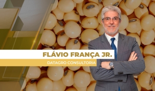 Flávio França Jr. - Chefe do Setor de Grãos da Datagro Consultoria