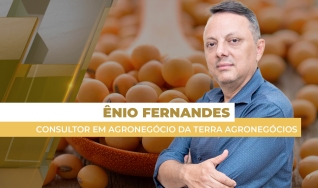Ênio Fernandes - Consultor em Agronegócio da Terra Agronegócios