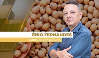 Ênio Fernandes - Consultor em Agronegócio da Terra Agronegócios