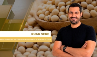 Ruan Sene - Líder da Grainsights, a plataforma de inteligência de mercado da Grão