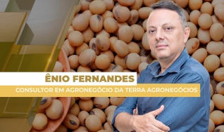 Ênio Fernandes - Consultor em Agronegócio da Terra Agronegócios