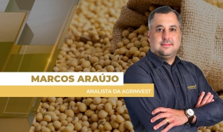 Marcos Araújo - Analista da Agrinvest