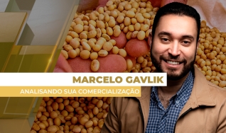 Marcelo Gavlik - Sócio e Assessor da Getreide Investimentos