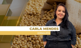 Carla Mendes - Jornalista