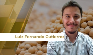 Luiz Fernando Gutierrez - Coordenador de Inteligência de Mercado na Hedgepoint