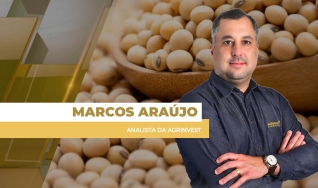 Marcos Araújo - Analista da Agrinvest