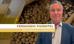 Fernando Pimentel - Sócio Diretor da Agrometrika
