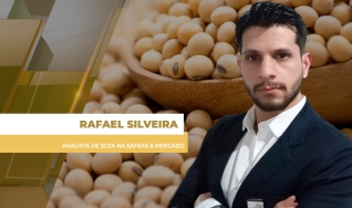 Rafael Silveira - Analista de Soja na Safras & Mercado