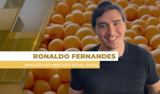 Ronaldo Fernandes - Analista de Mercado Royal Rural