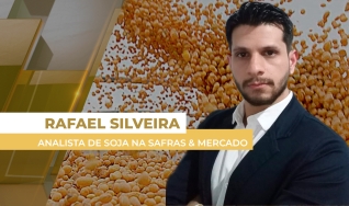 Rafael Silveira - Analista de Soja na Safras & Mercado