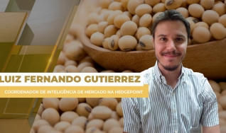 Luiz Fernando Gutierrez - Coordenador de Inteligência de Mercado na Hedgepoint