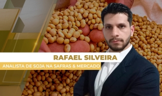 Rafael Silveira - Analista de Soja na Safras & Mercado